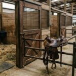 Teen Barrel Racing Competitor Arrested in Las Vegas for Animal Cruelty Involving Horse Injuries
