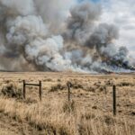 Europe Battles Unprecedented Wildfires: Lessons for Oklahoma Communities